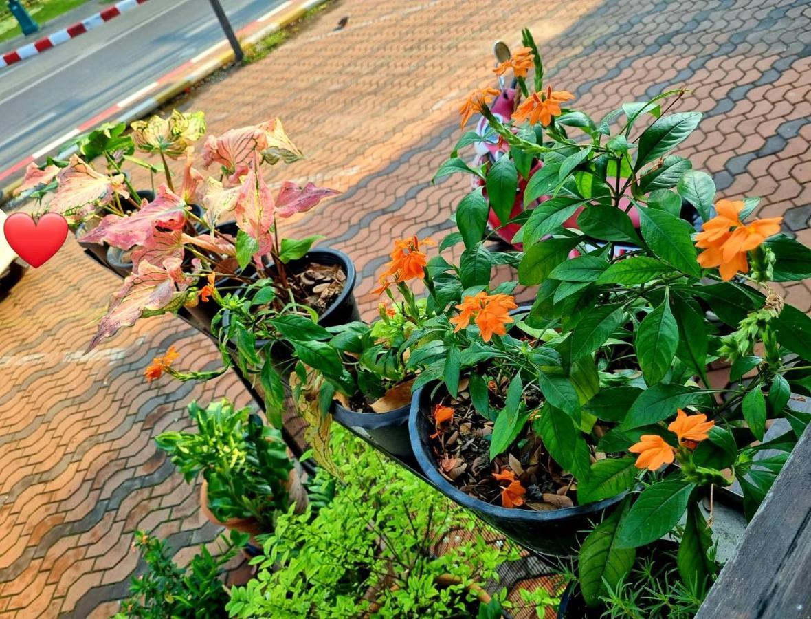 T2B Hostel Chiang Mai Ngoại thất bức ảnh